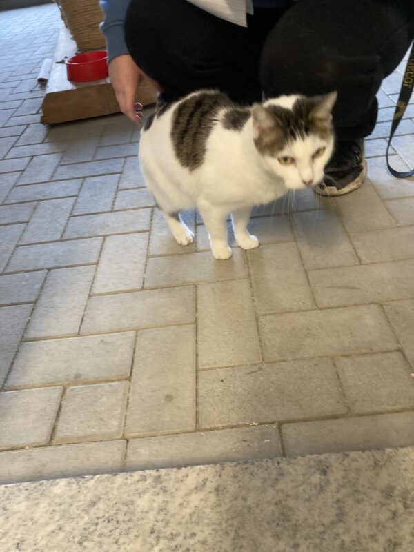 Susi – Bild 4