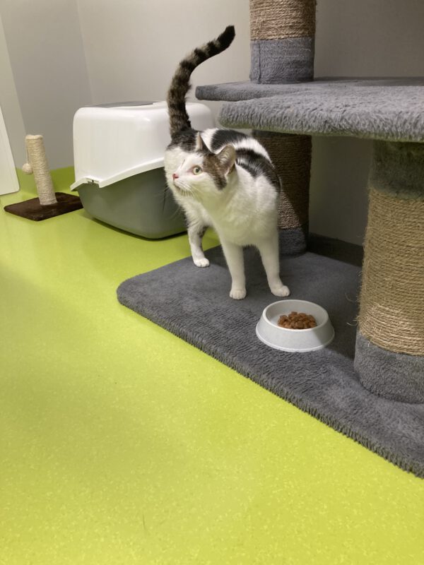 Susi – Bild 3