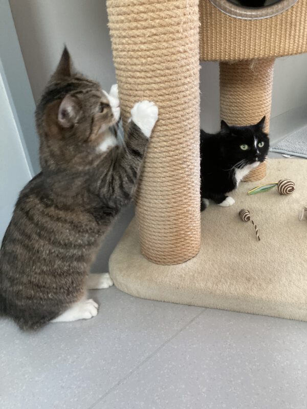Naomi und Malu – Bild 2