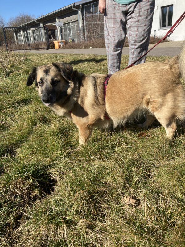Bobby – Bild 6