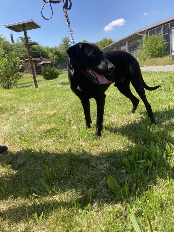 Momo – Bild 5