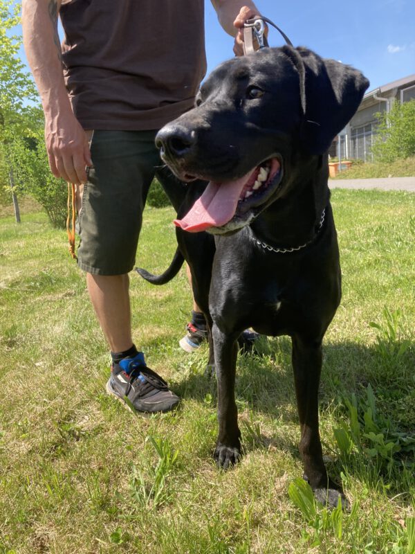 Momo – Bild 4