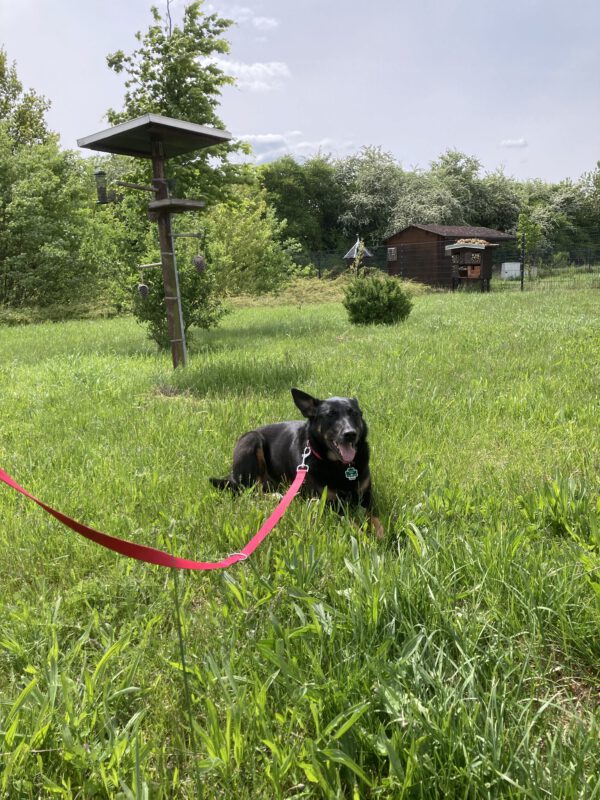 Alisia – Bild 6