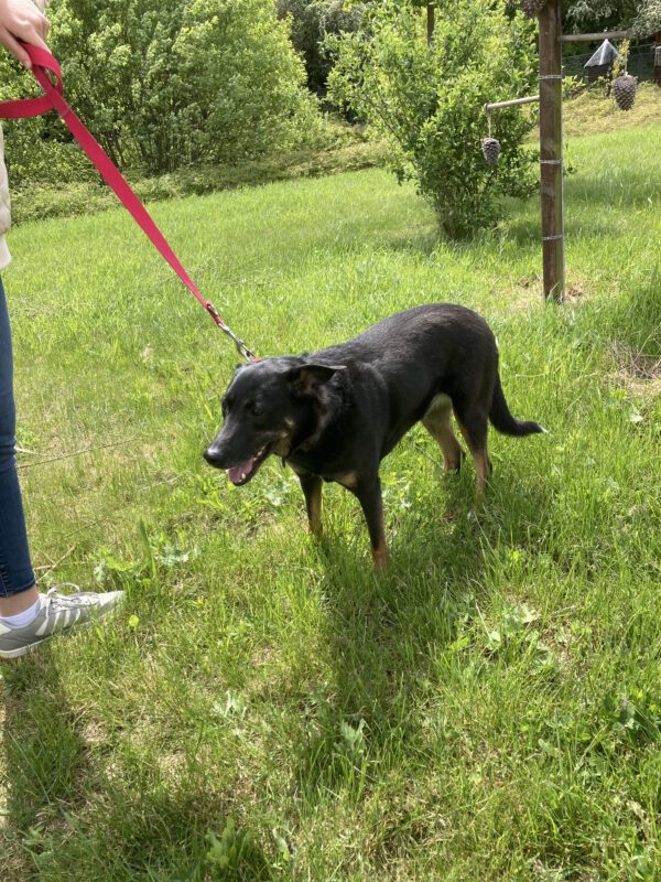 Alisia – Bild 5