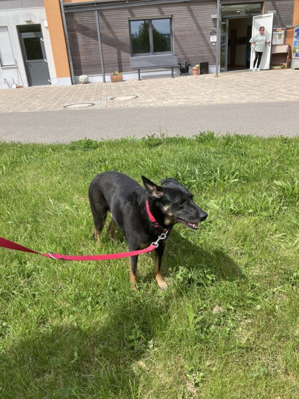 Alisia – Bild 4