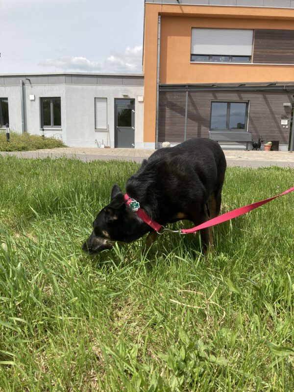 Alisia – Bild 2