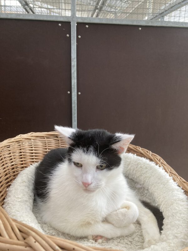 Findus – Bild 2