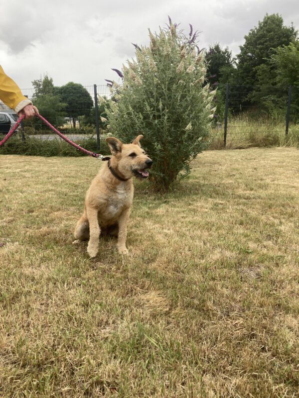 Luna – Bild 5