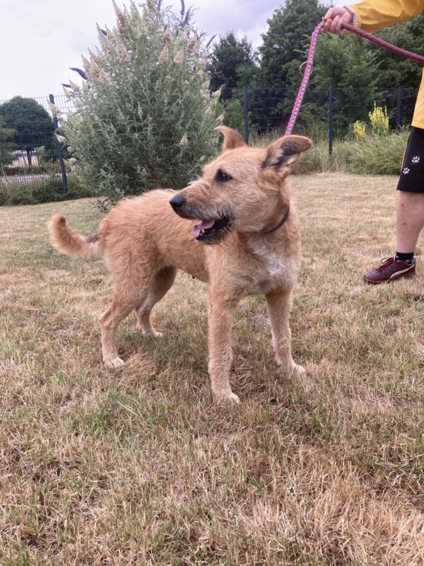 Luna – Bild 4