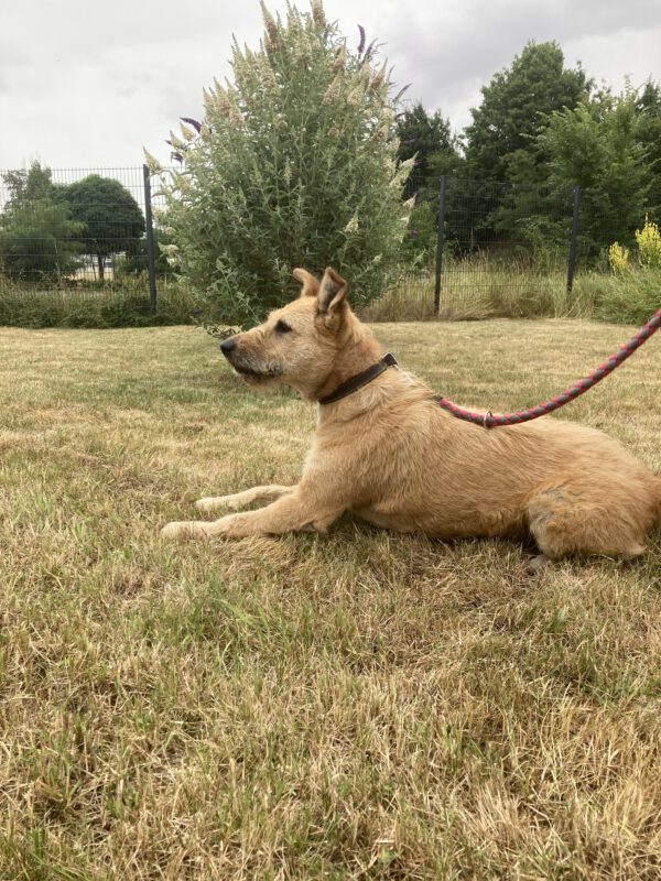 Luna – Bild 3
