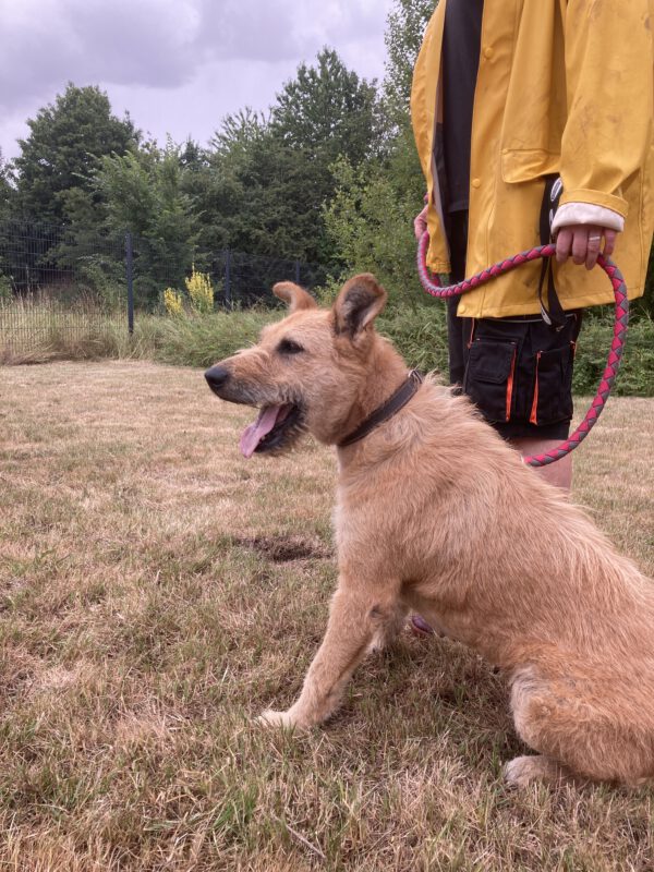 Luna – Bild 2
