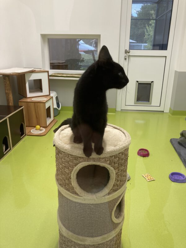 Thea – Bild 4