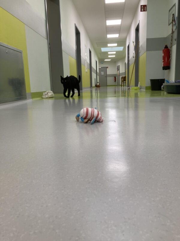 Thea – Bild 7