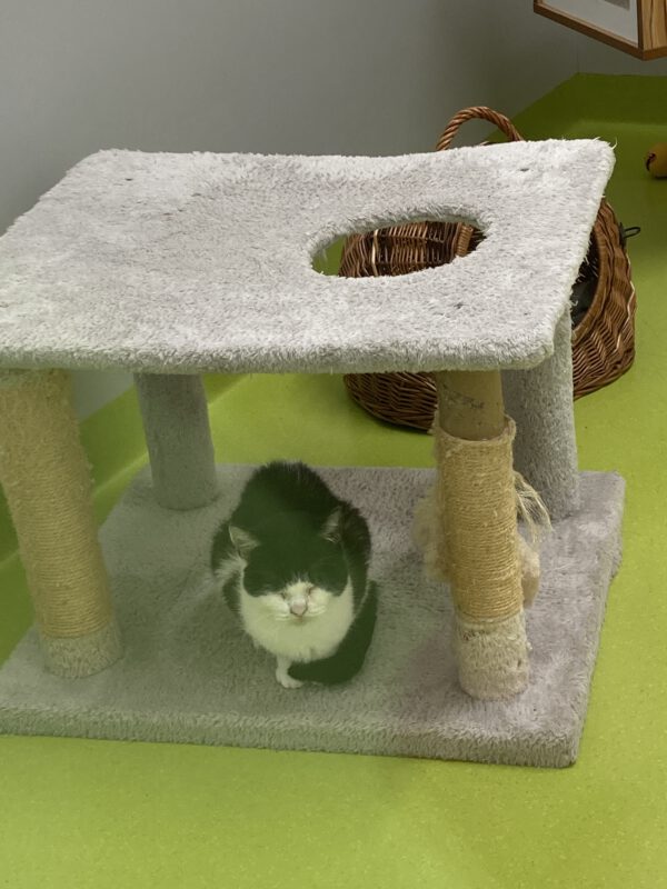 Penny – Bild 3