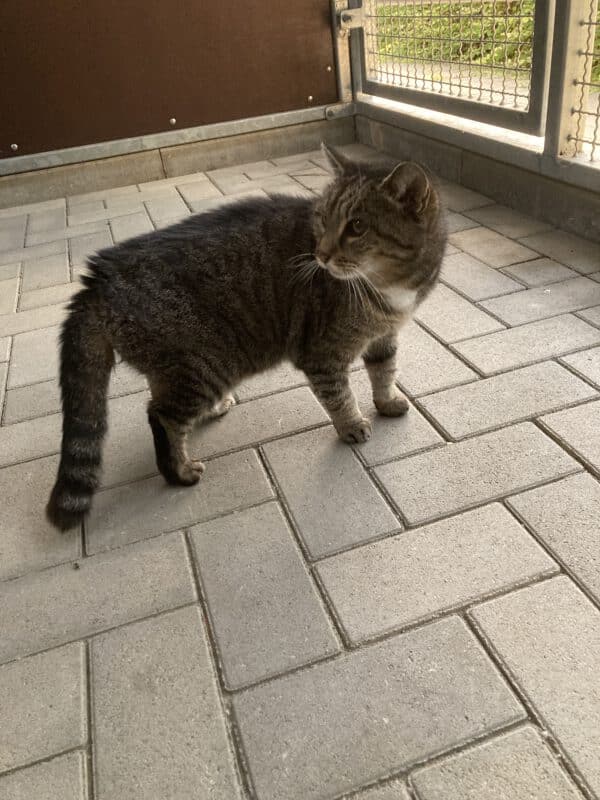 Mimmi – Bild 2