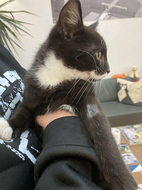 Tommy – Bild 6