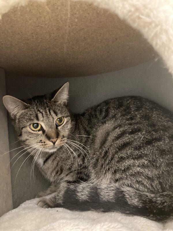 Hugo – Bild 2