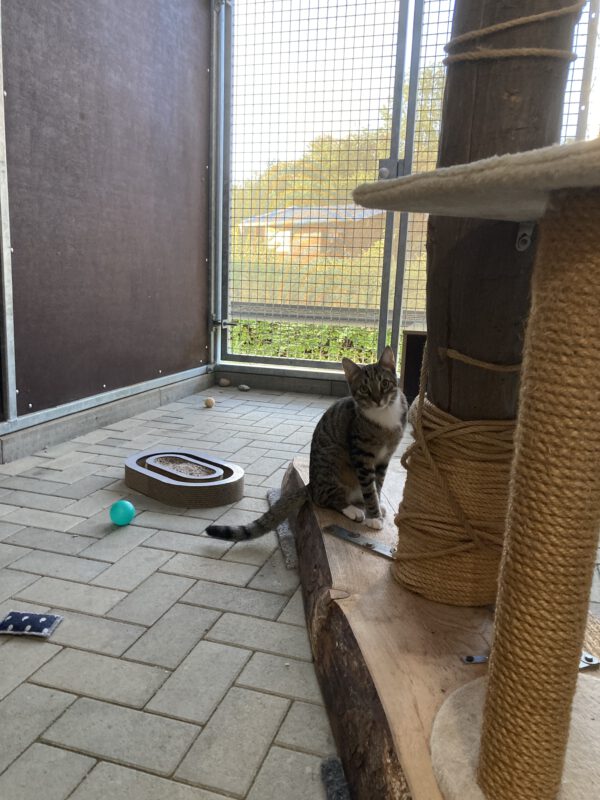 Winston – Bild 3