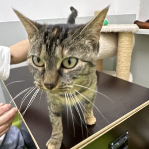 Klette unser Wirbelwind