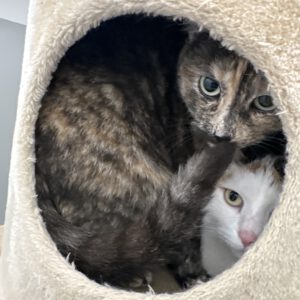 Erna und Anouschka