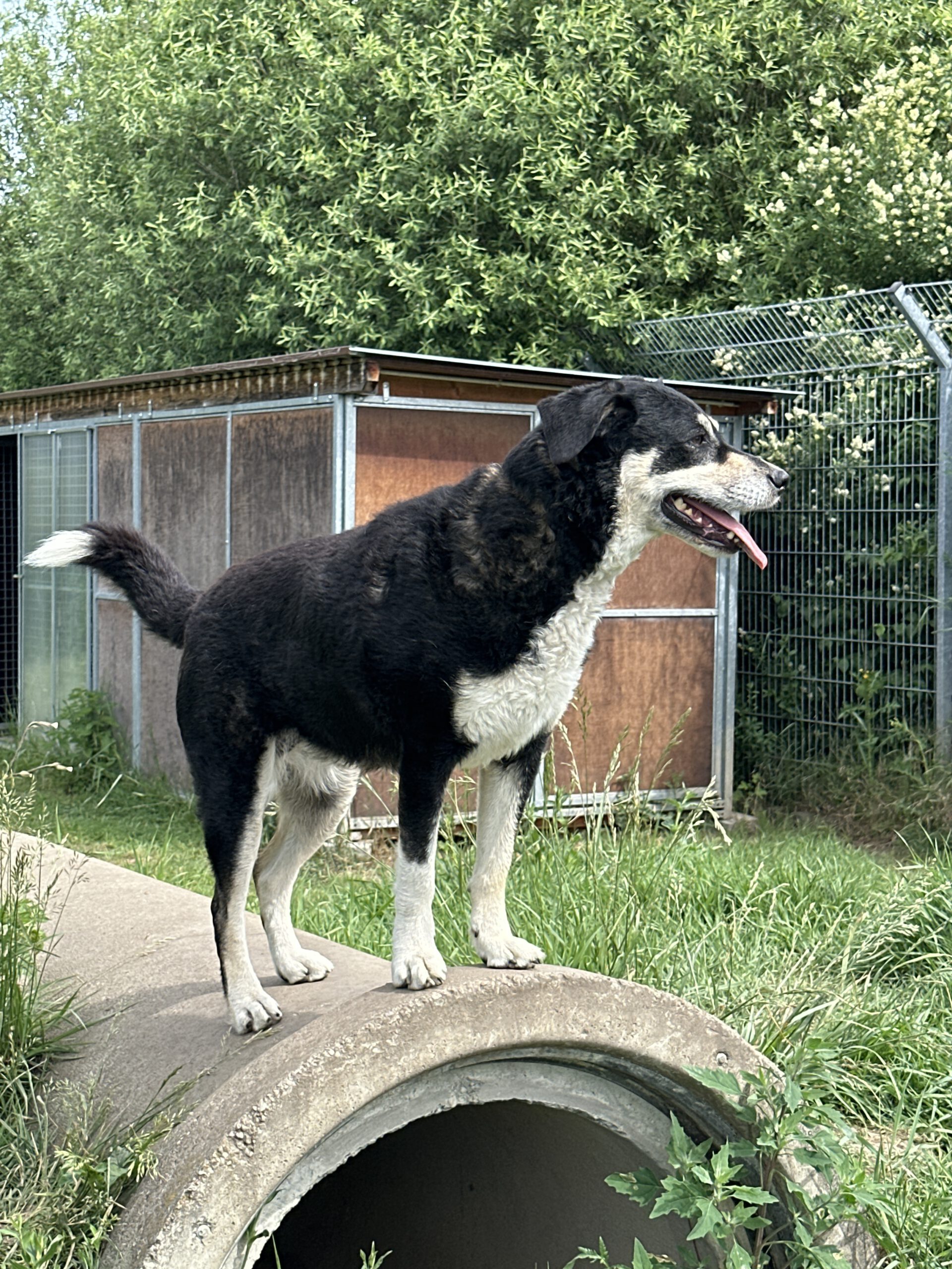 Kami ( die Liebevolle )
