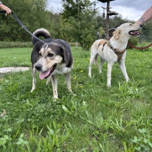 Gino und Lou